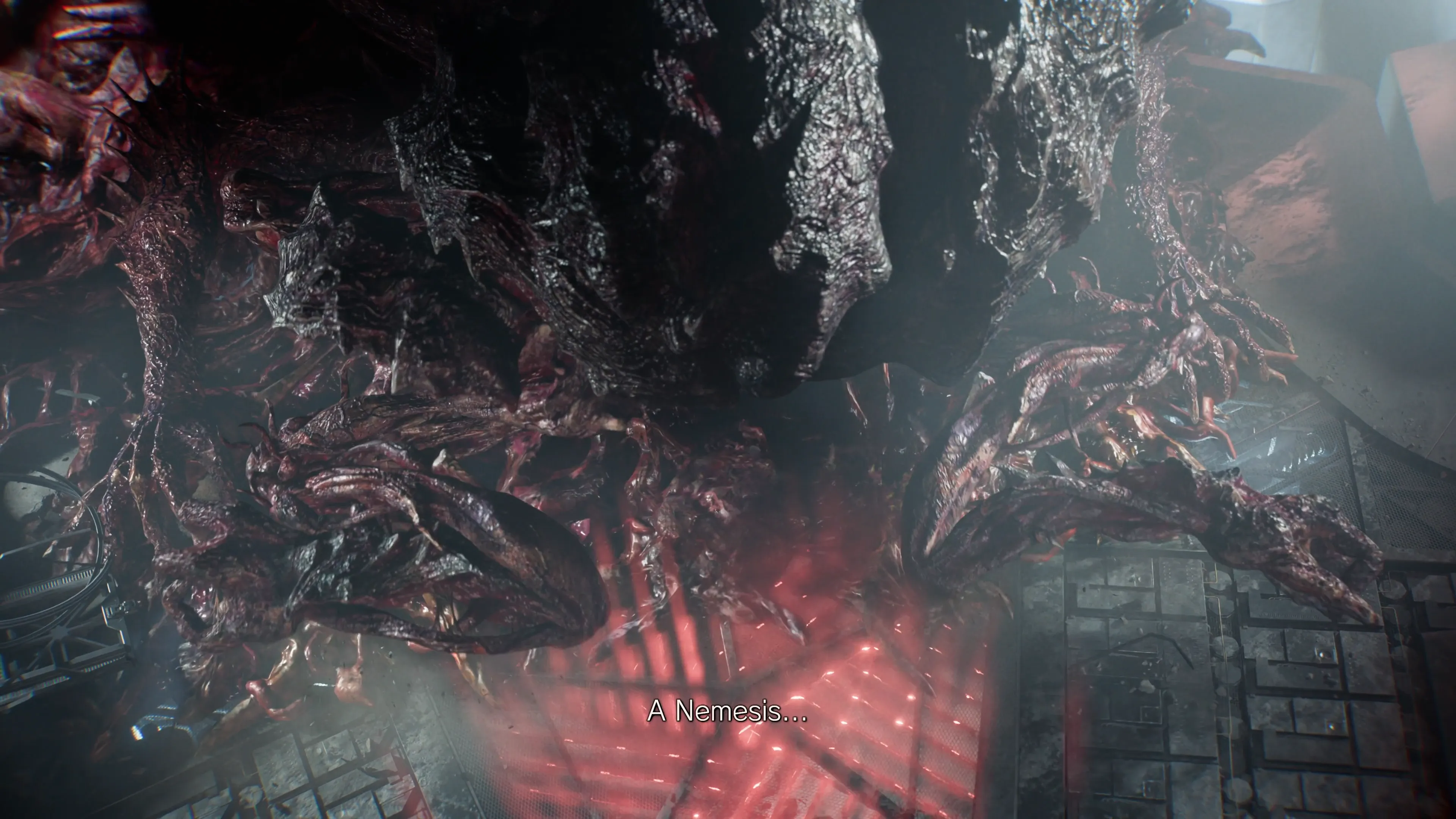 荷甲保级关,键战,赫拉克勒斯,pa真人,pa真人平台,pa真人电子游戏平台,PlayAce