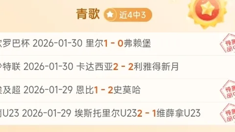 周二009德甲激战：沃夫斯堡对阵门兴深度解析与预测