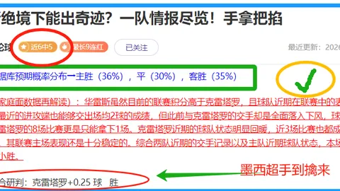 芬甲海辛基对阵米克力：焦点战期号专家质合推荐分析