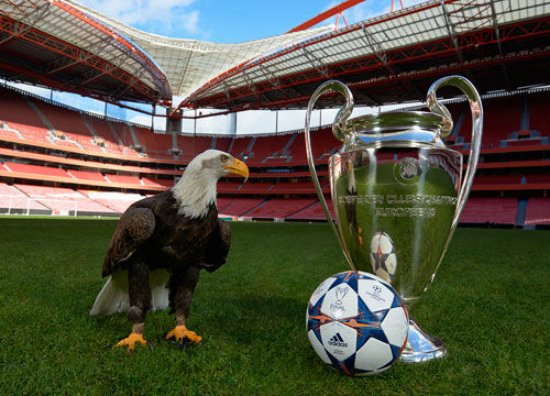 这一措施不 这一措施不